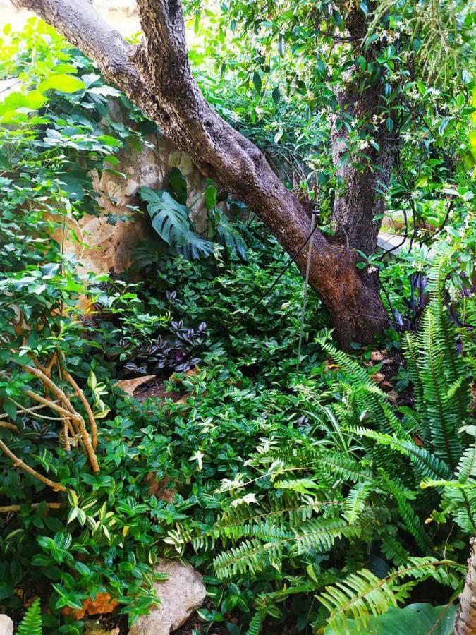 Olive Lemon Biophilic House & Lush Forest Garden Vamos Exterior foto