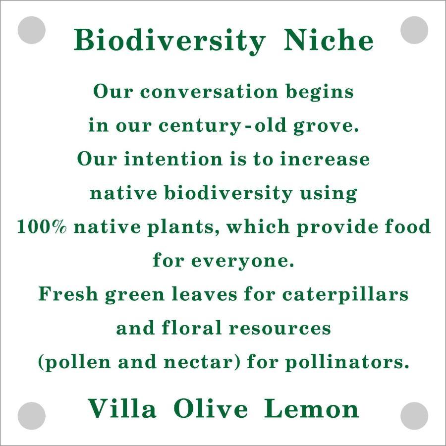 Olive Lemon Biophilic House & Lush Forest Garden Vamos Exterior foto