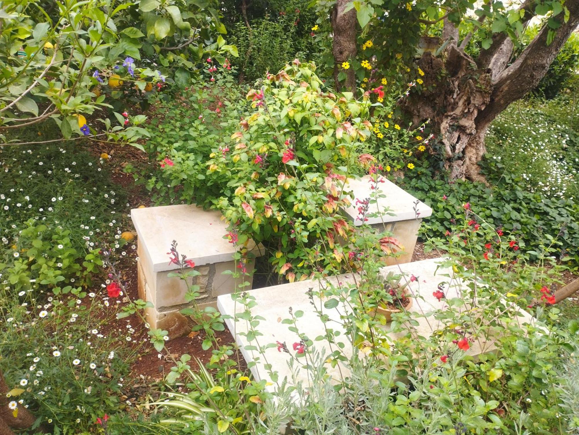 Olive Lemon Biophilic House & Lush Forest Garden Vamos Exterior foto